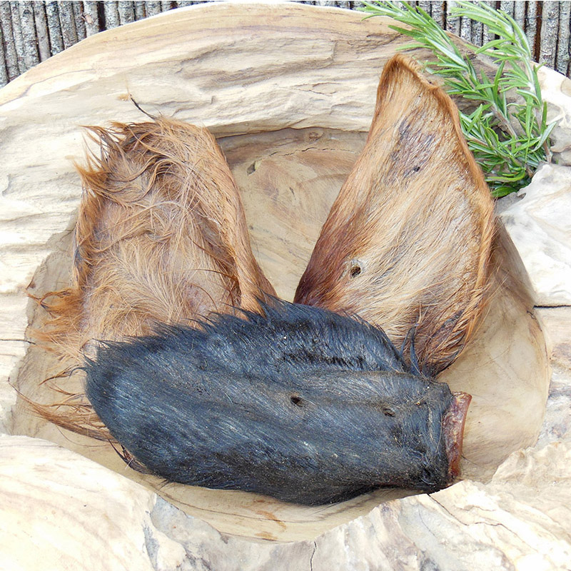 UCHO WOŁOWE z włosiem duże - naturalnie suszone