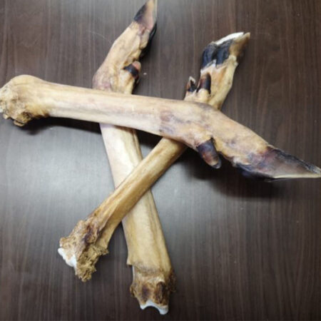 Noga jelenia bez włosa - gryzak dla psa