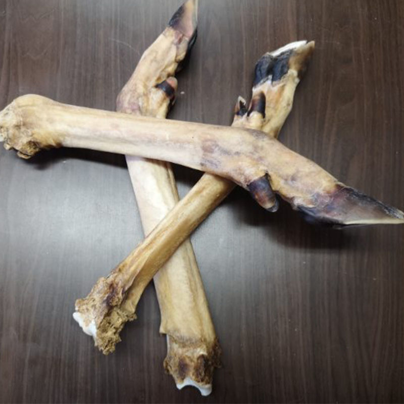 Noga jelenia bez włosa - gryzak dla psa