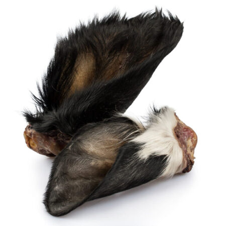 Ucho wołowe z małżowiną z włosem - suszony gryzak