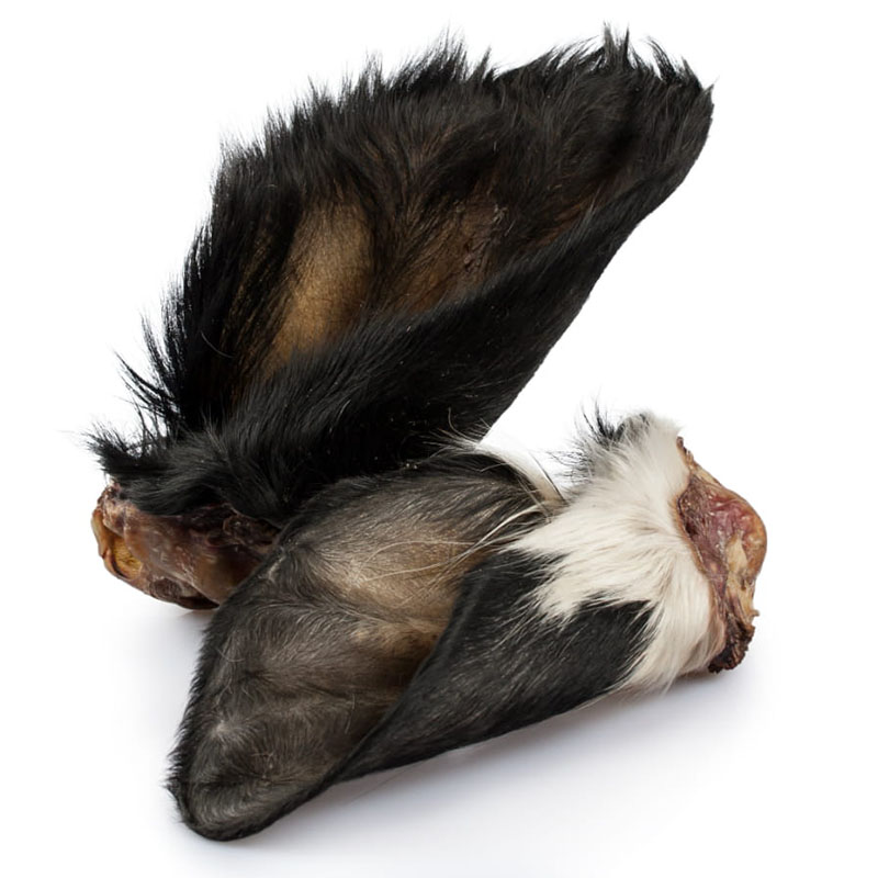 Ucho wołowe z małżowiną z włosem - suszony gryzak